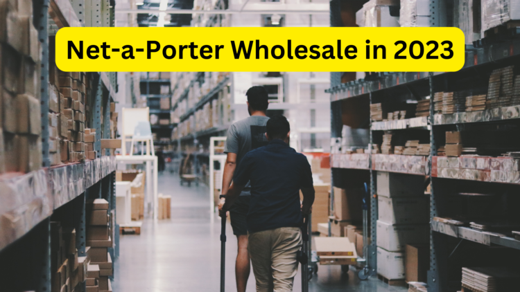 Navigating Net-a-Porter Wholesale in 2023: A Comprehensive Guide by Fashionfalse.com